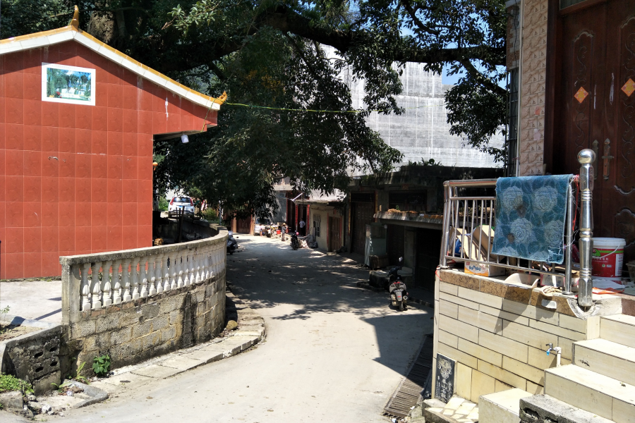 谷拉，我劲骚骚地来了 - 靖西市·靖西网