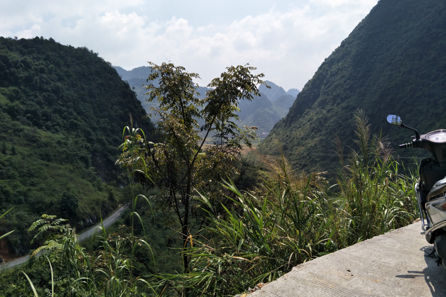 谷拉，我劲骚骚地来了 - 靖西市·靖西网