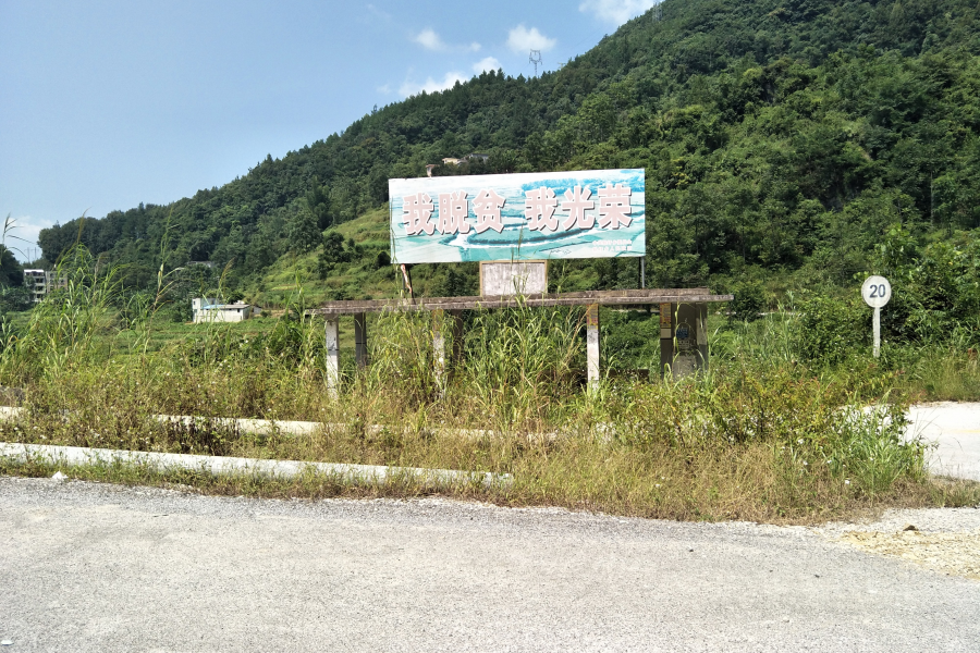 谷拉，我劲骚骚地来了 - 靖西市·靖西网