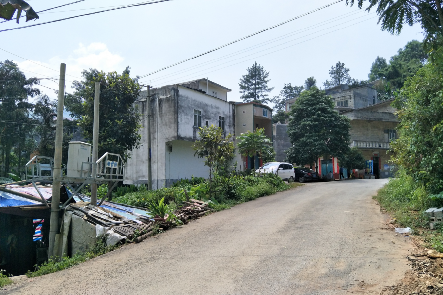 谷拉，我劲骚骚地来了 - 靖西市·靖西网