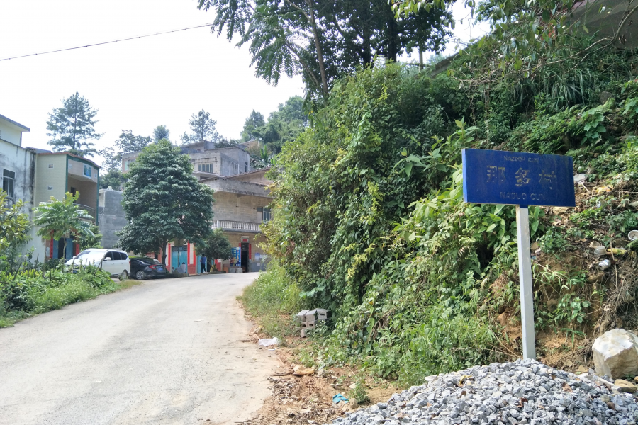 谷拉，我劲骚骚地来了 - 靖西市·靖西网