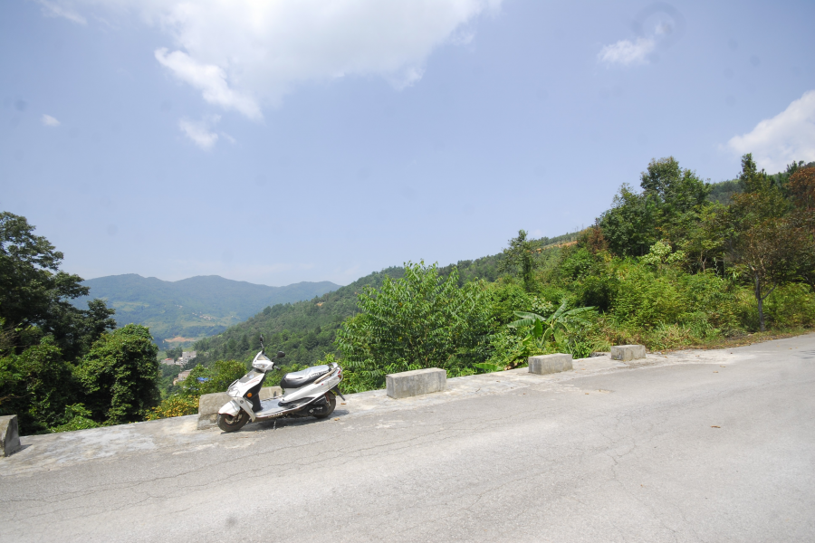 谷拉，我劲骚骚地来了 - 靖西市·靖西网
