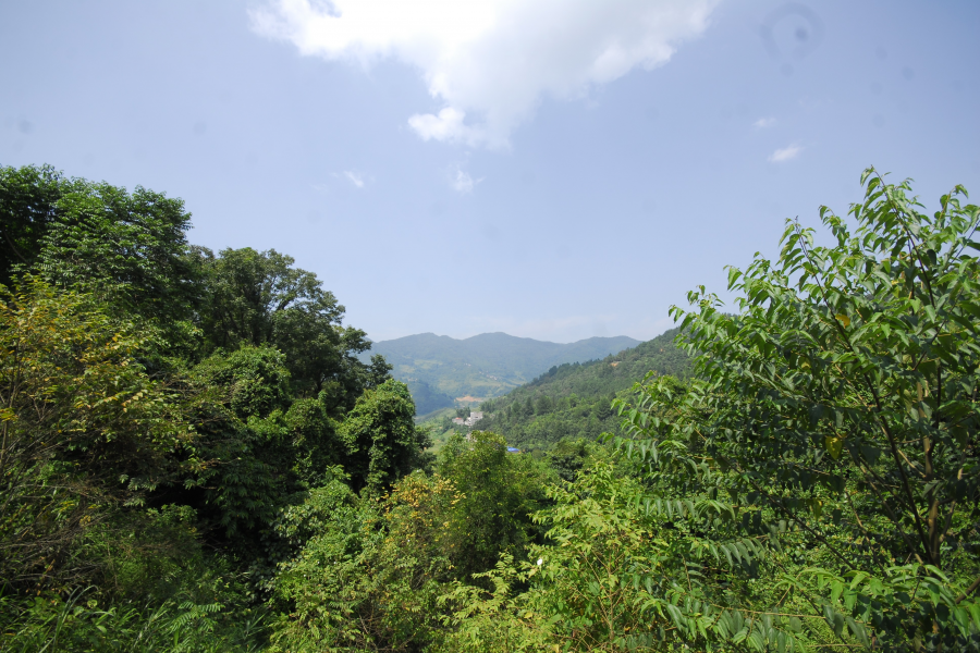 谷拉，我劲骚骚地来了 - 靖西市·靖西网