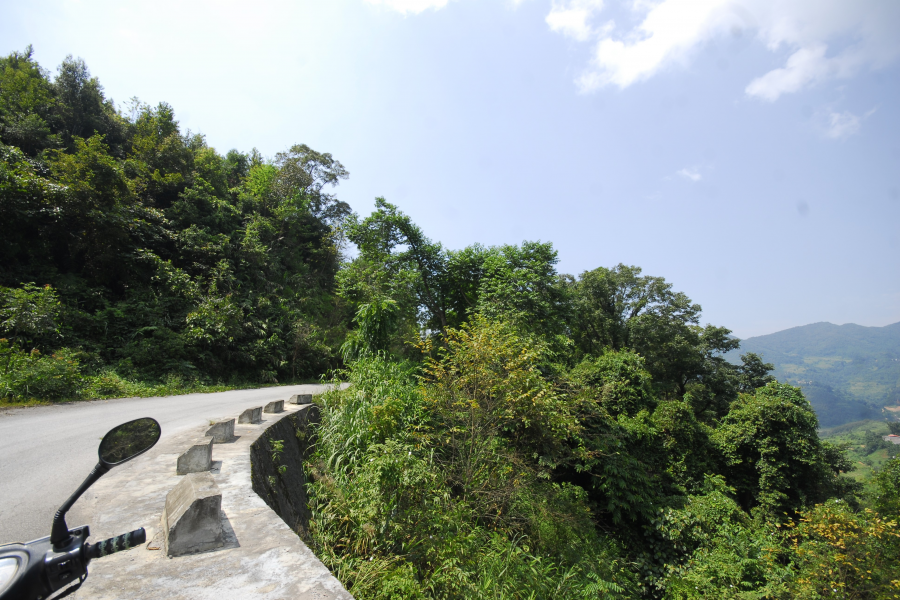 谷拉，我劲骚骚地来了 - 靖西市·靖西网