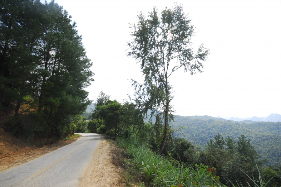 谷拉，我劲骚骚地来了 - 靖西市·靖西网