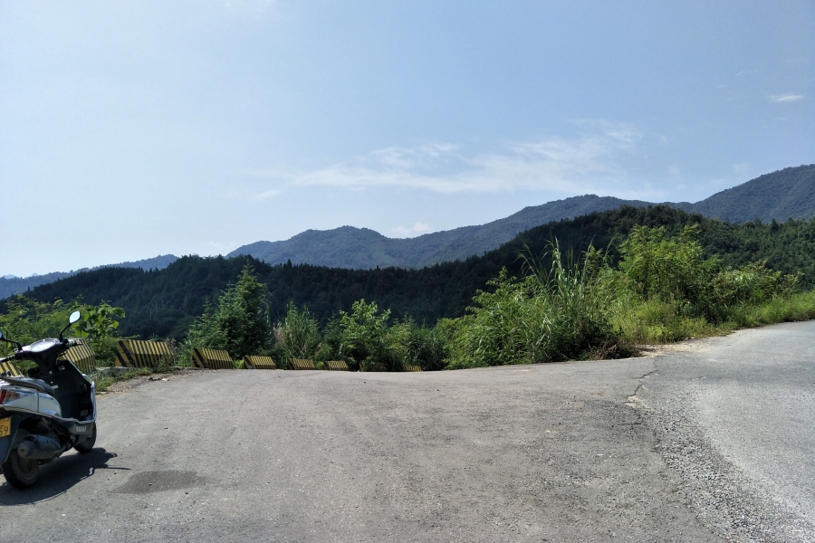 谷拉，我劲骚骚地来了 - 靖西市·靖西网