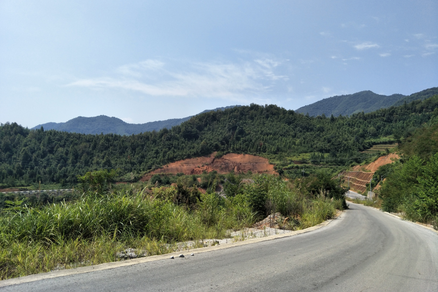 谷拉，我劲骚骚地来了 - 靖西市·靖西网