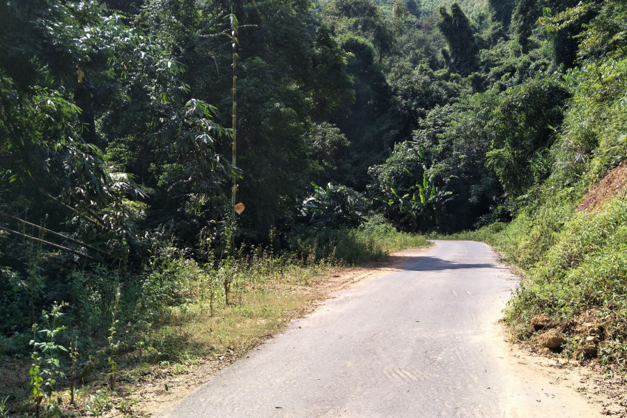 谷拉，我劲骚骚地来了 - 靖西市·靖西网