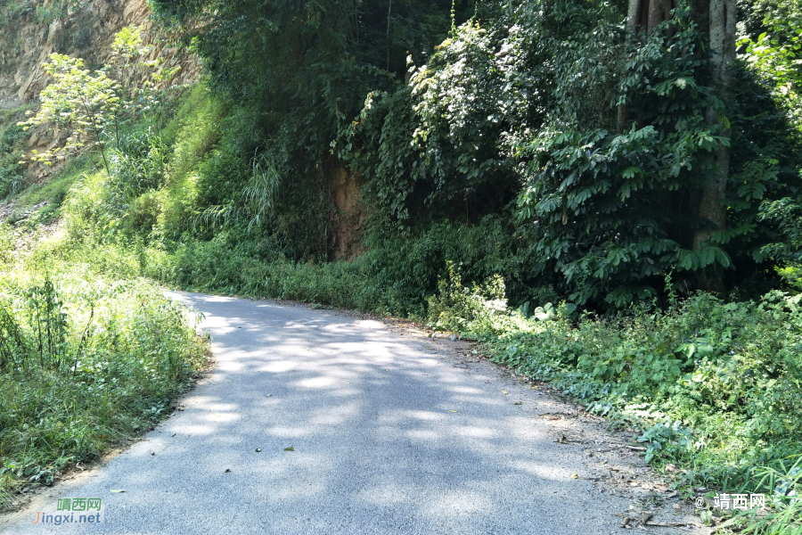 谷拉，我劲骚骚地来了 - 靖西市·靖西网