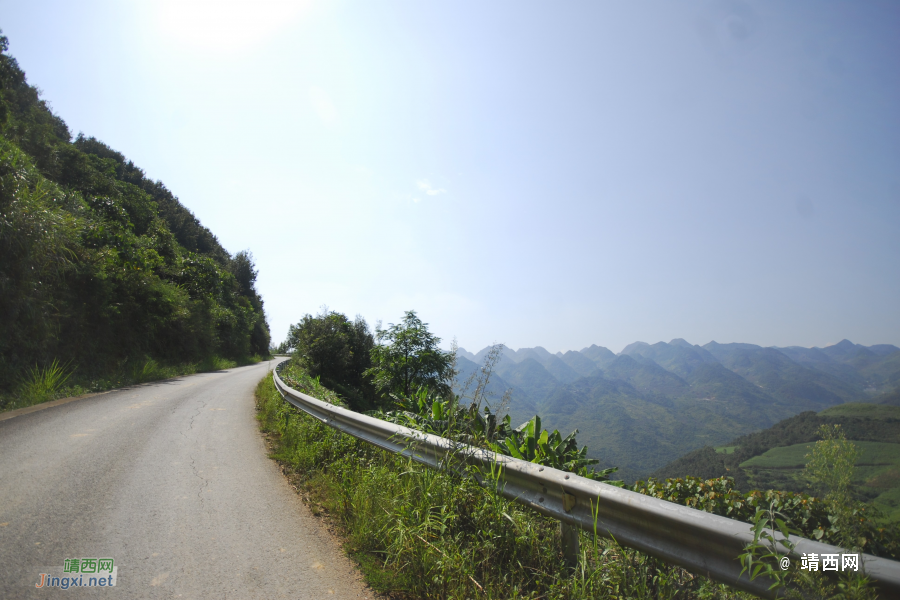 谷拉，我劲骚骚地来了 - 靖西市·靖西网
