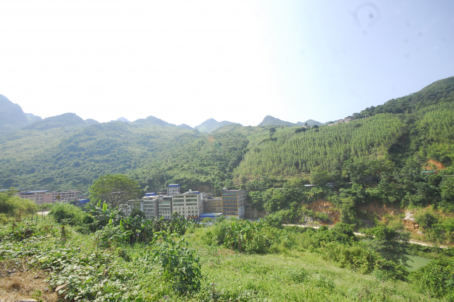 谷拉，我劲骚骚地来了 - 靖西市·靖西网