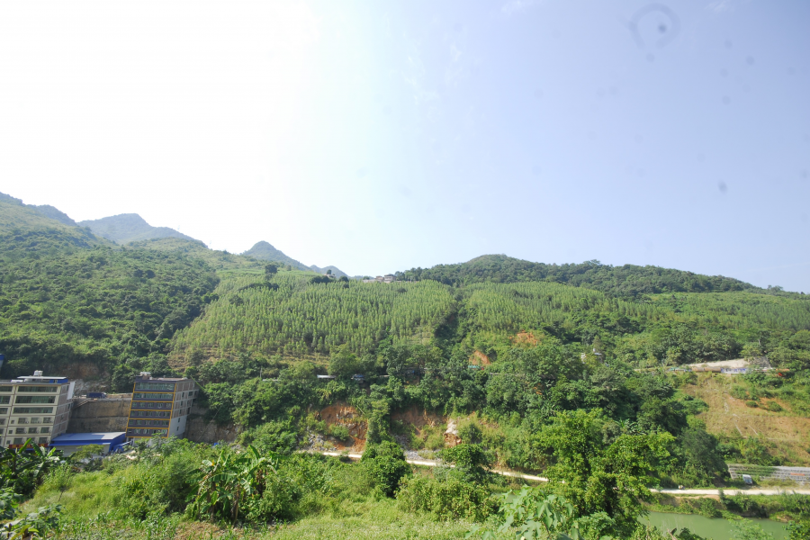 谷拉，我劲骚骚地来了 - 靖西市·靖西网