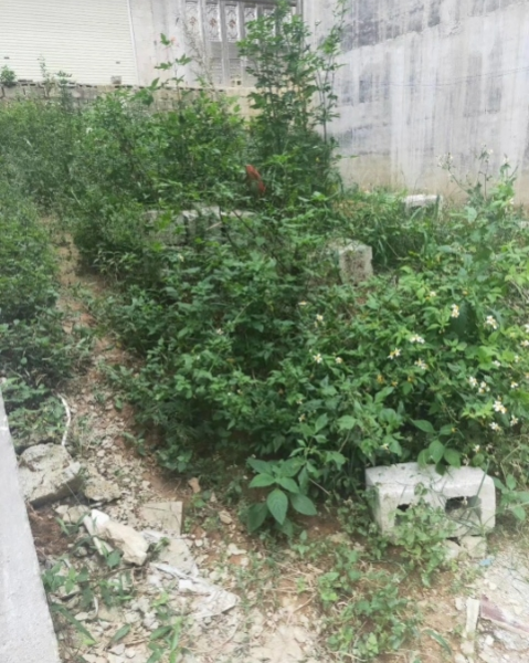 山水国际对面地皮转让 - 靖西市·靖西网