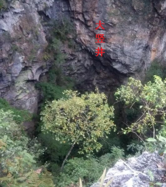 龙之眼，靖西市龙潭小天坑高清图片(上)。 - 靖西市·靖西网