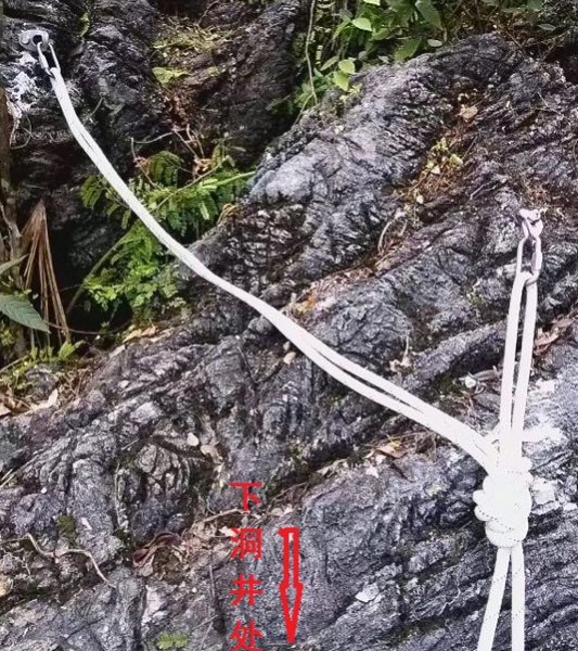 龙之眼，靖西市龙潭小天坑高清图片(上)。 - 靖西市·靖西网