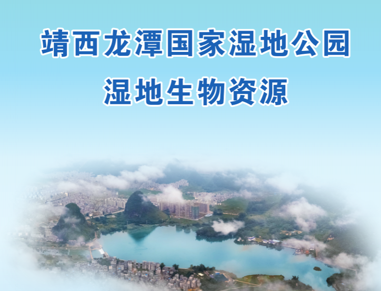 龙之眼，靖西市龙潭小天坑高清图片(上)。 - 靖西市·靖西网