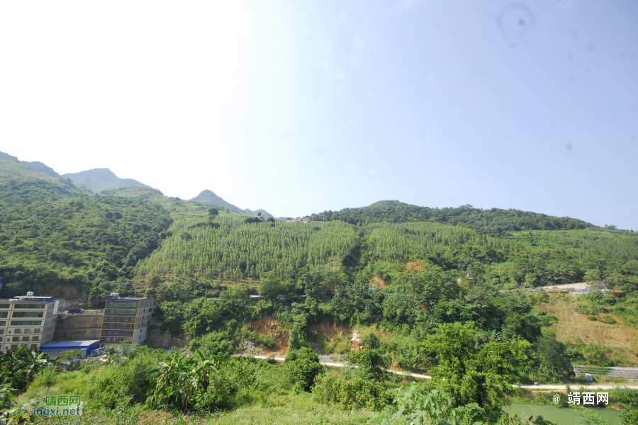 谷拉，我劲骚骚地来了 - 靖西市·靖西网