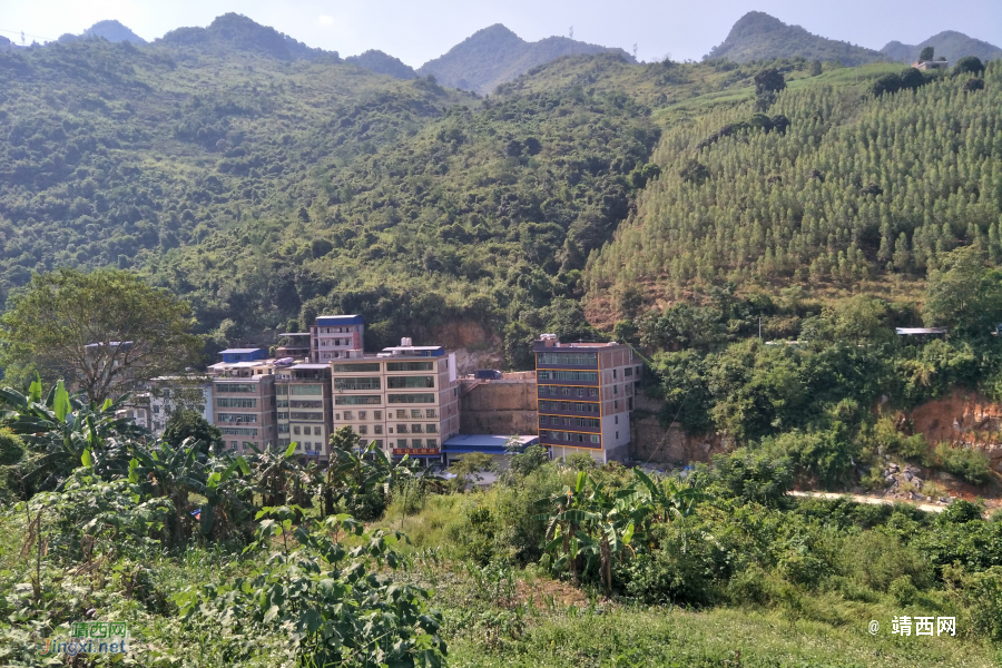 谷拉，我劲骚骚地来了 - 靖西市·靖西网