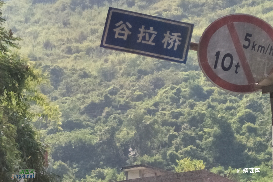 谷拉，我劲骚骚地来了 - 靖西市·靖西网