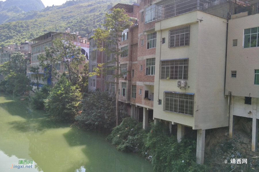 谷拉，我劲骚骚地来了 - 靖西市·靖西网