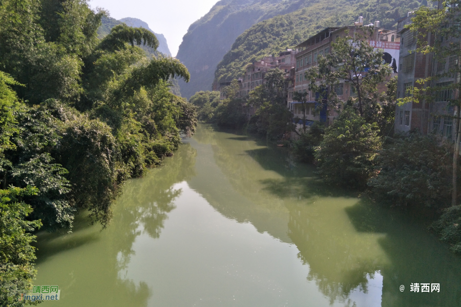 谷拉，我劲骚骚地来了 - 靖西市·靖西网