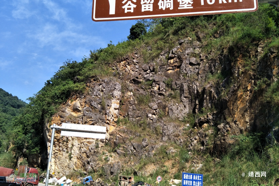 谷拉，我劲骚骚地来了 - 靖西市·靖西网