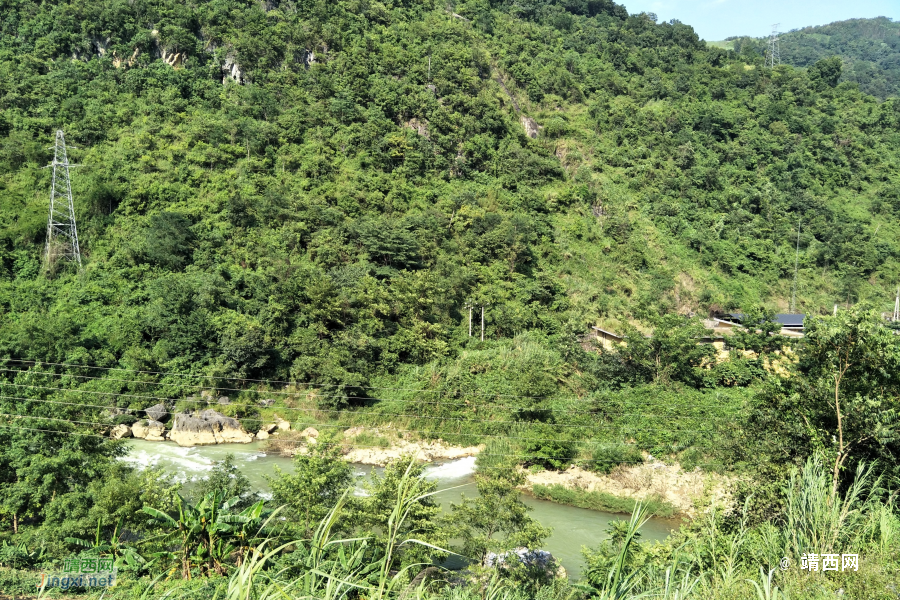 谷拉，我劲骚骚地来了 - 靖西市·靖西网