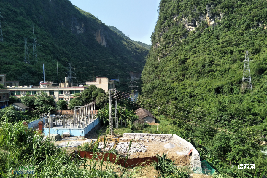 谷拉，我劲骚骚地来了 - 靖西市·靖西网