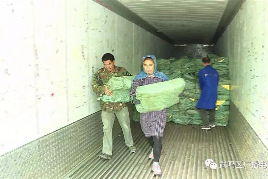 超700000斤！广西又查获一批走私肉，危害极大！呗侬还敢吃？ - 靖西市·靖西网