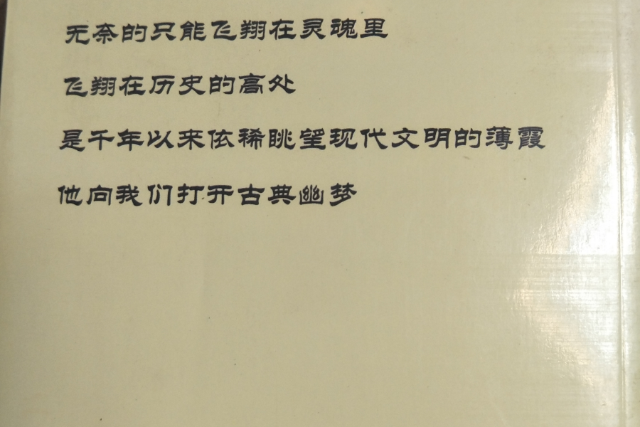 发现这本书，有关侬智高的。 - 靖西市·靖西网