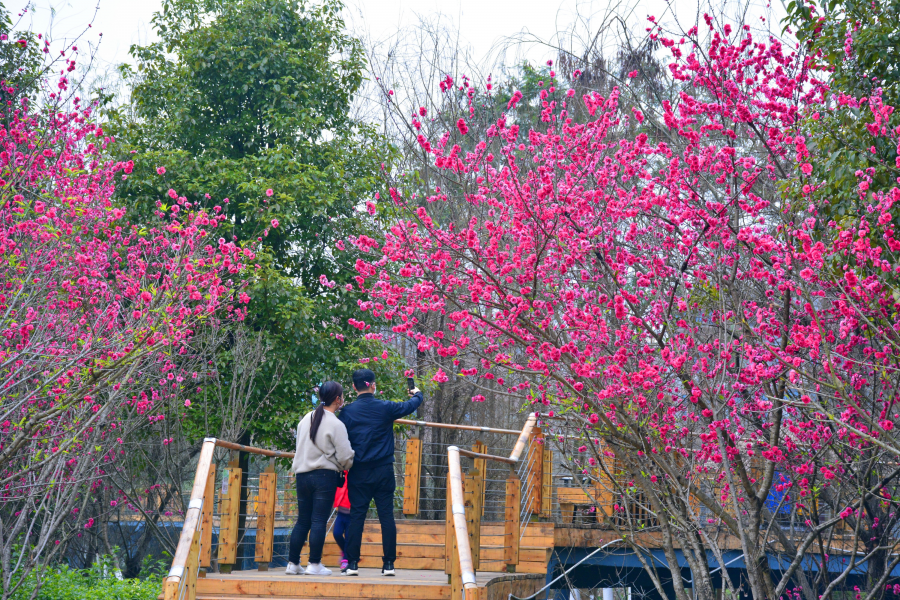 战疫情，春暖花开。 - 靖西市·靖西网