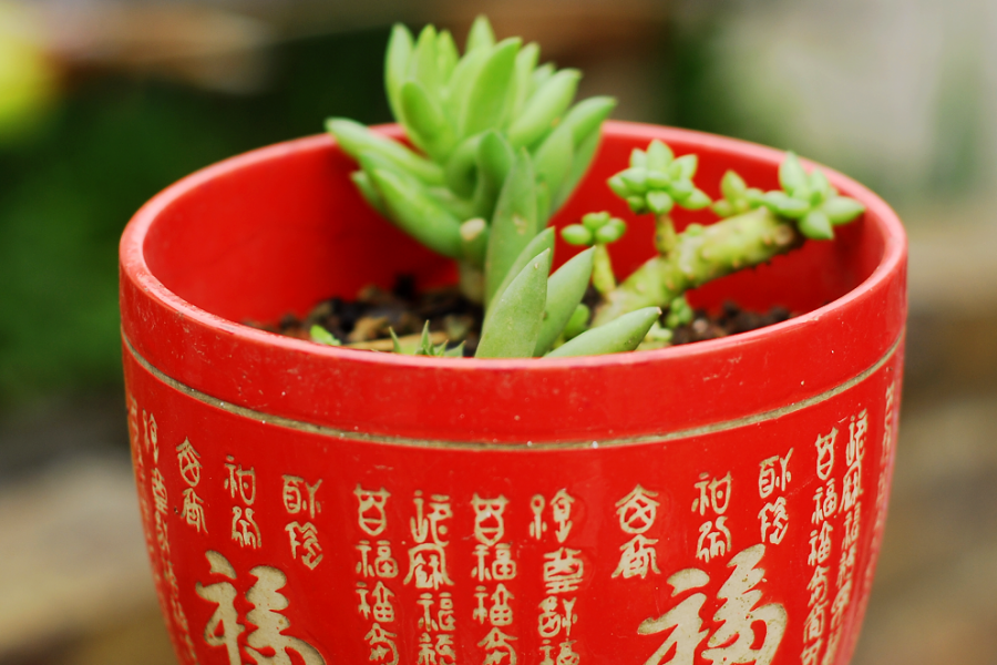 弱弱的问一个大逆不道的问题:去五岭林场挨拦吗？ - 靖西市·靖西网