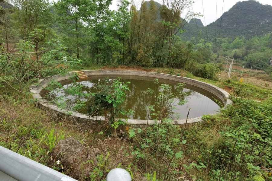 农村常见的水池 - 靖西市·靖西网