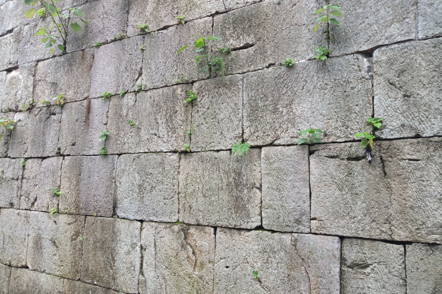 靖西市旧州古镇保护规定的解读 - 靖西市·靖西网