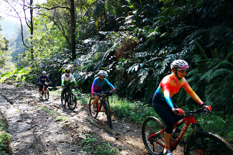 你们希望在图1的路上骑，还是喜欢在图2的路上骑？ - 靖西市·靖西网