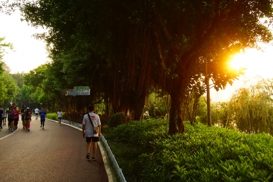 跑步，骑行，跳舞。你们说哪个更好？ - 靖西市·靖西网