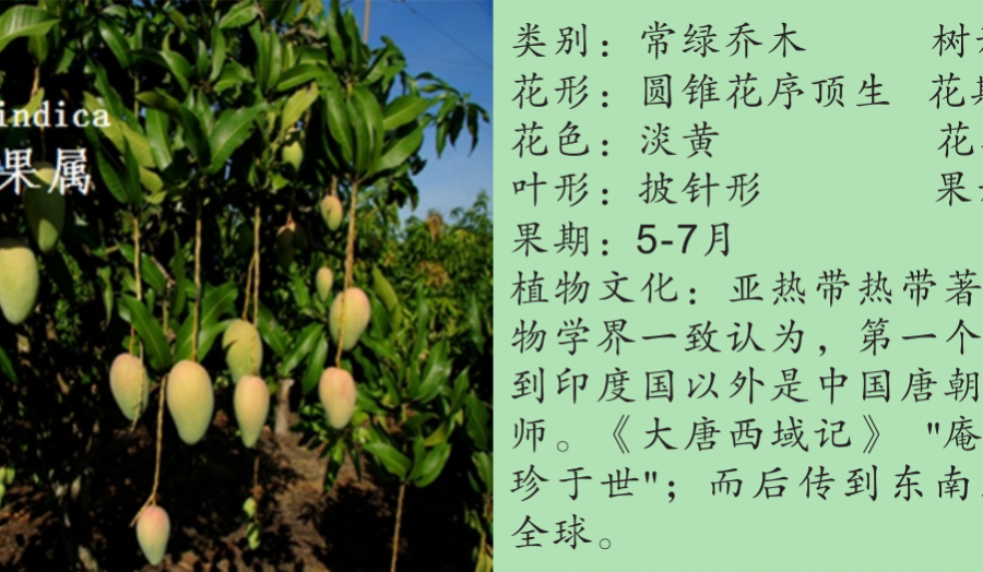 龙潭湿地公园科普宣教 - 靖西市·靖西网