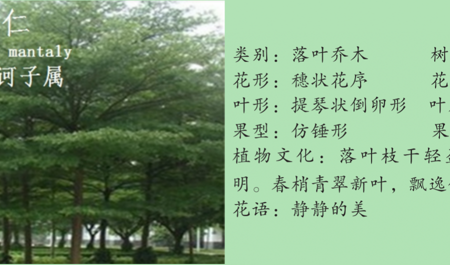 龙潭湿地公园科普宣教 - 靖西市·靖西网