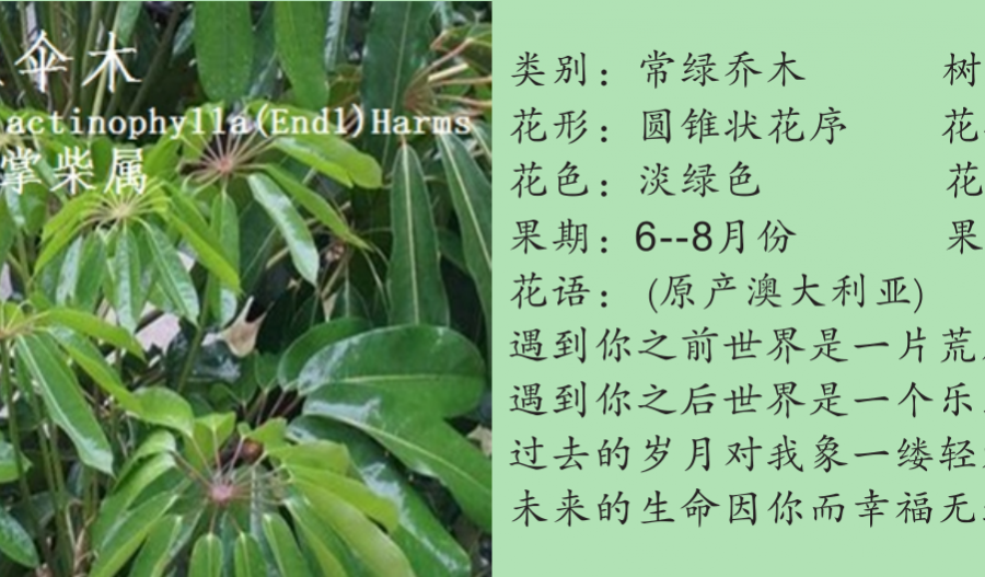 龙潭湿地公园科普宣教 - 靖西市·靖西网