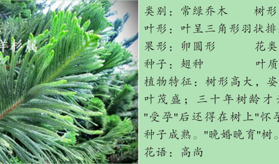 龙潭湿地公园科普宣教 - 靖西市·靖西网