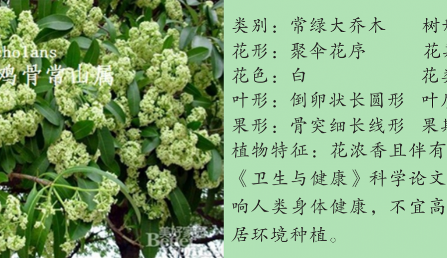 龙潭湿地公园科普宣教 - 靖西市·靖西网