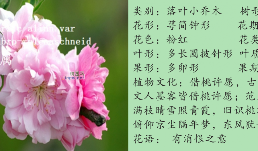 龙潭湿地公园科普宣教 - 靖西市·靖西网