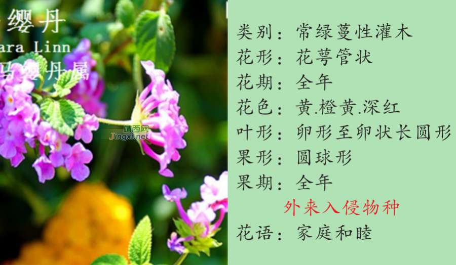 龙潭湿地公园科普宣教 - 靖西市·靖西网