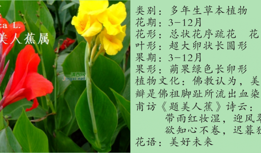 龙潭湿地公园科普宣教 - 靖西市·靖西网