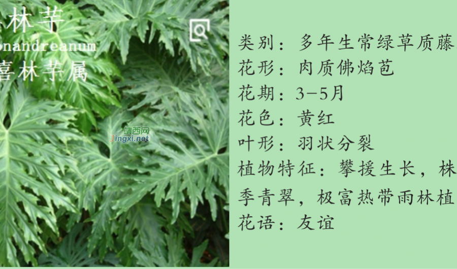 龙潭湿地公园科普宣教 - 靖西市·靖西网