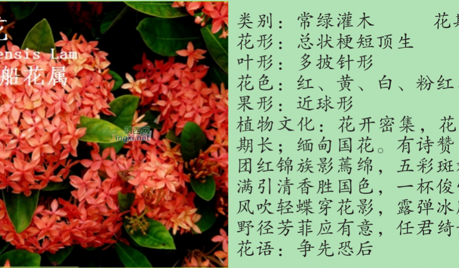 龙潭湿地公园科普宣教 - 靖西市·靖西网