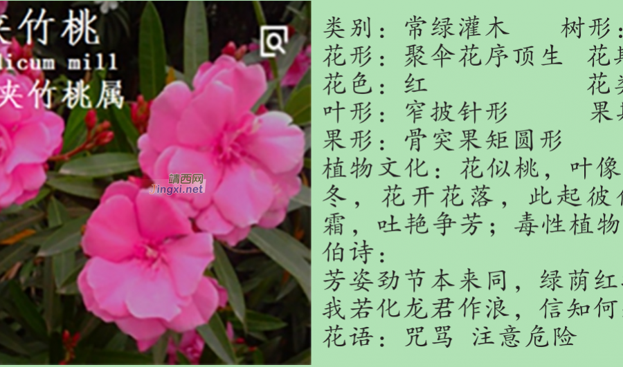 龙潭湿地公园科普宣教 - 靖西市·靖西网