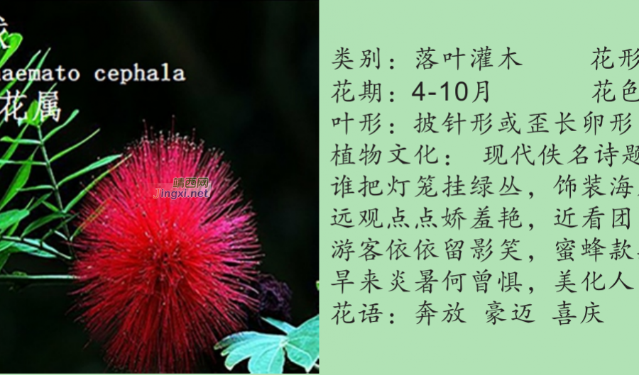 龙潭湿地公园科普宣教 - 靖西市·靖西网