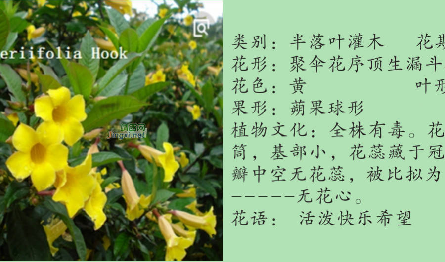 龙潭湿地公园科普宣教 - 靖西市·靖西网