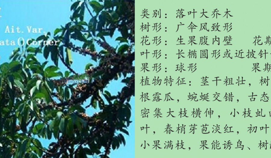 龙潭湿地公园科普宣教 - 靖西市·靖西网